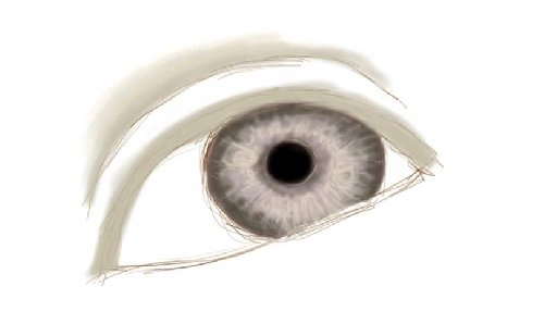 500x309 Portrait Drawing Tutorial