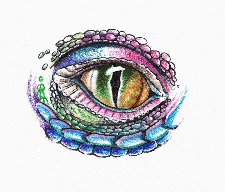 900x766 Dragon's Eye Tattoo Tattoo In Reptile Eye, Seashell