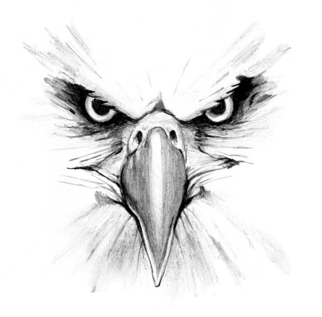 642x632 Grey White Eagle Eyes Tattoo Design