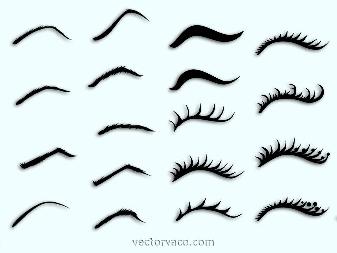 680x510 Eyebrows And Eyelashes Free Vector Free Vectors Doll Face