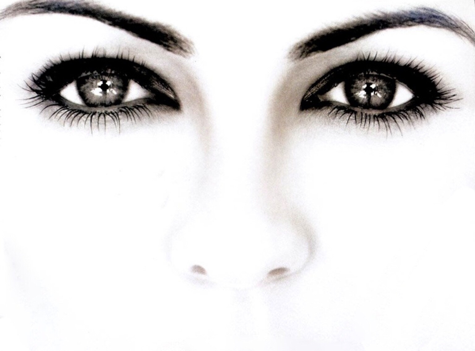 1536x1135 Are Your Brows On Fleek Or Is The Fleek Taking Over Your Brows