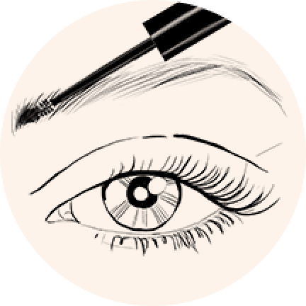 432x432 Collection Of Free Eyebrows Drawing Eyebrow Shape Download On Ui Ex