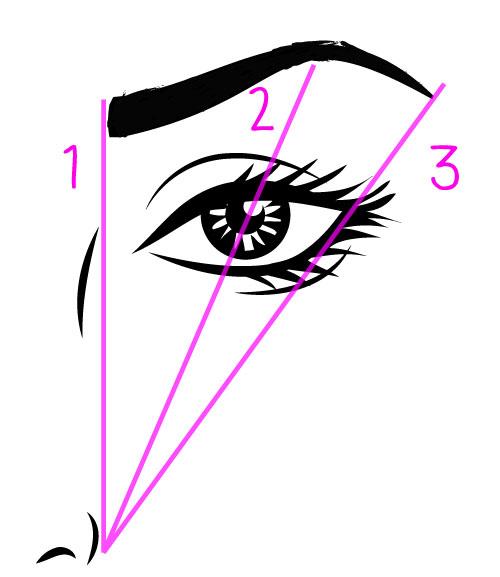 500x577 Eyebrows On Fleek