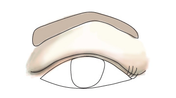 360x200 Eye Shapes What's Your Eye Shape Beautylish