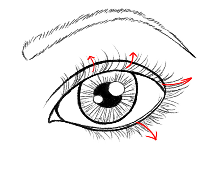 Eyelid Drawing | Free download on ClipArtMag