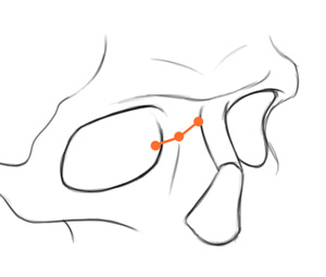300x255 Jeff Searle Drawing The Eye