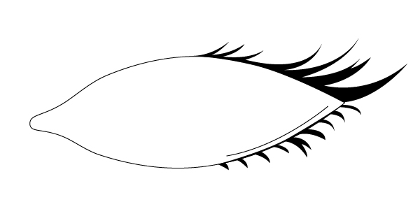 600x319 Modeling The Human Face In Illustrator