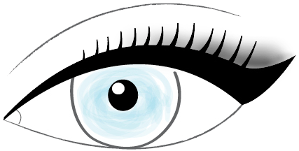 427x216 prestige eye liner