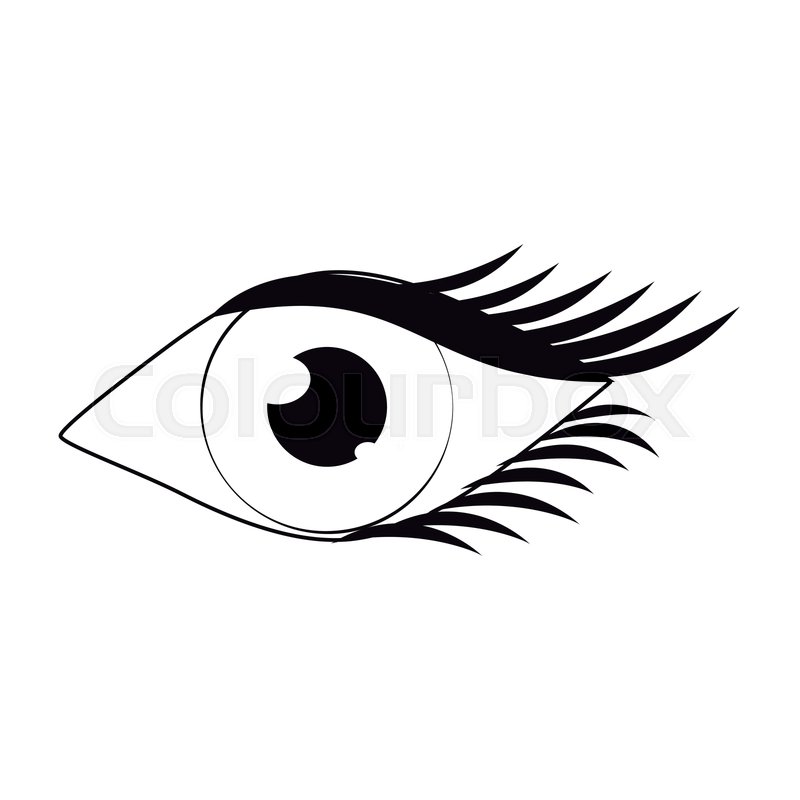 800x800 Women Eye Cartoon In Black And White Stock Vector Colourbox