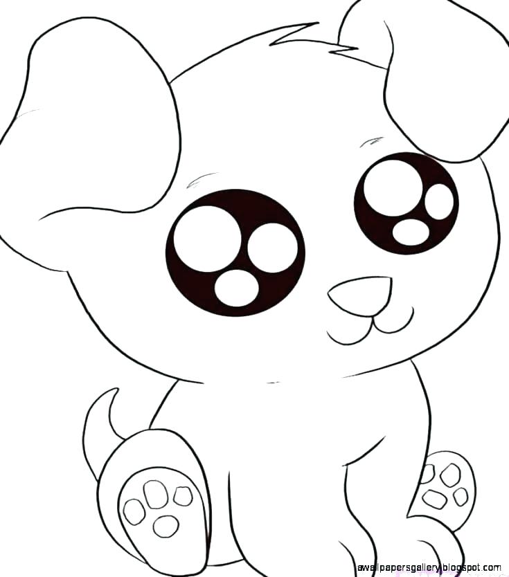 735x834 Animal Drawing Step