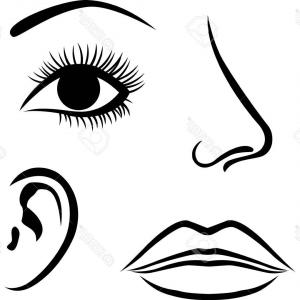 300x300 Photostock Vector Set Pencil Drawing Lips Realistic Sketch Vector