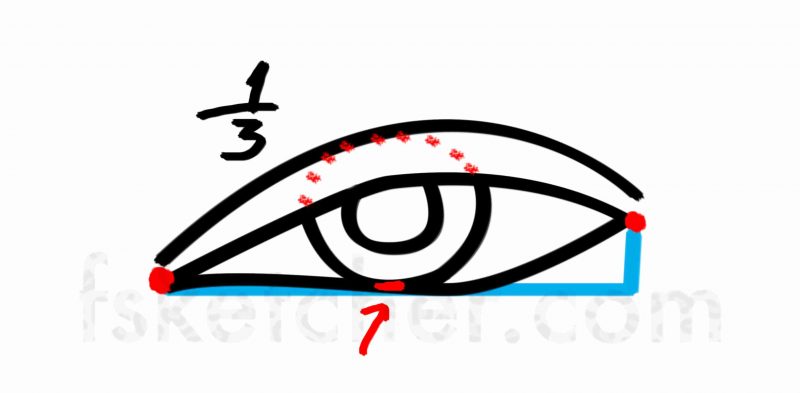 800x393 Drawing The Eyes Step