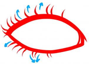 302x216 How To Draw Drawing Eyes For Kids