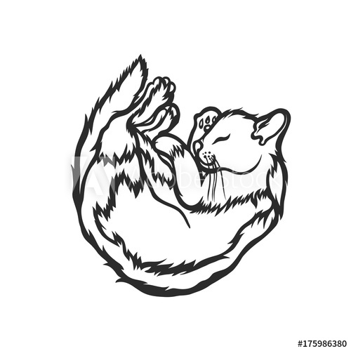 500x500 Sleeping Cat, Curled Up With His Eyes Closed Sketch Vector