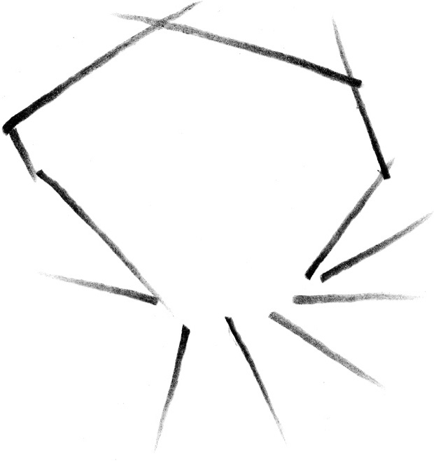 620x659 Basic Flower Shapes