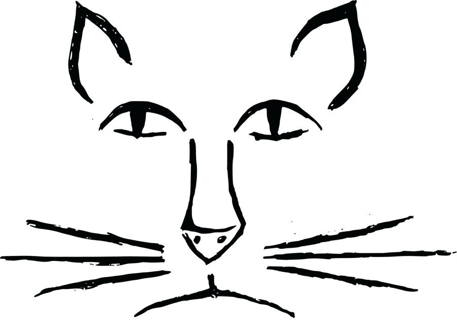 900x640 Cat Face Drawing Cat Face Drawing Simple