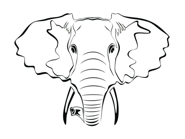 640x480 Elephant Face Outline Elephant Black And White Drawing At Baby