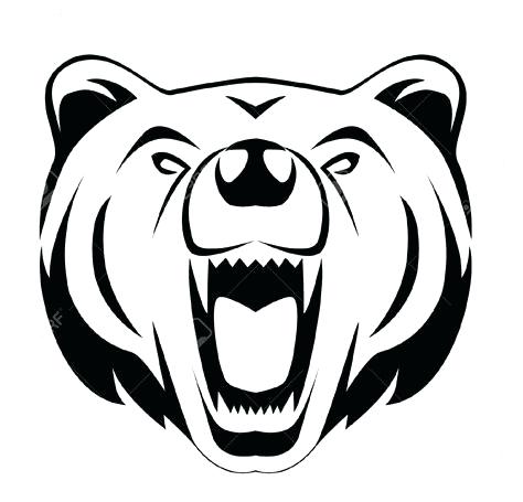 474x455 How To Draw A Bear Face Bears Head Drawing How To Draw A Cartoon