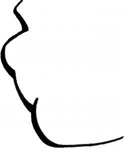 248x300 How To Draw A Cartoon Of Everyone You Know