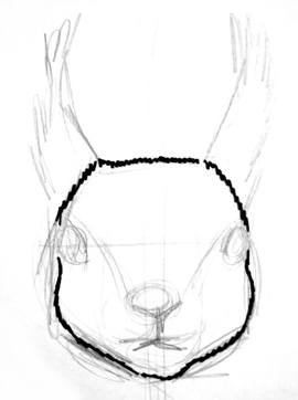270x362 How To Draw A Squirrel Face