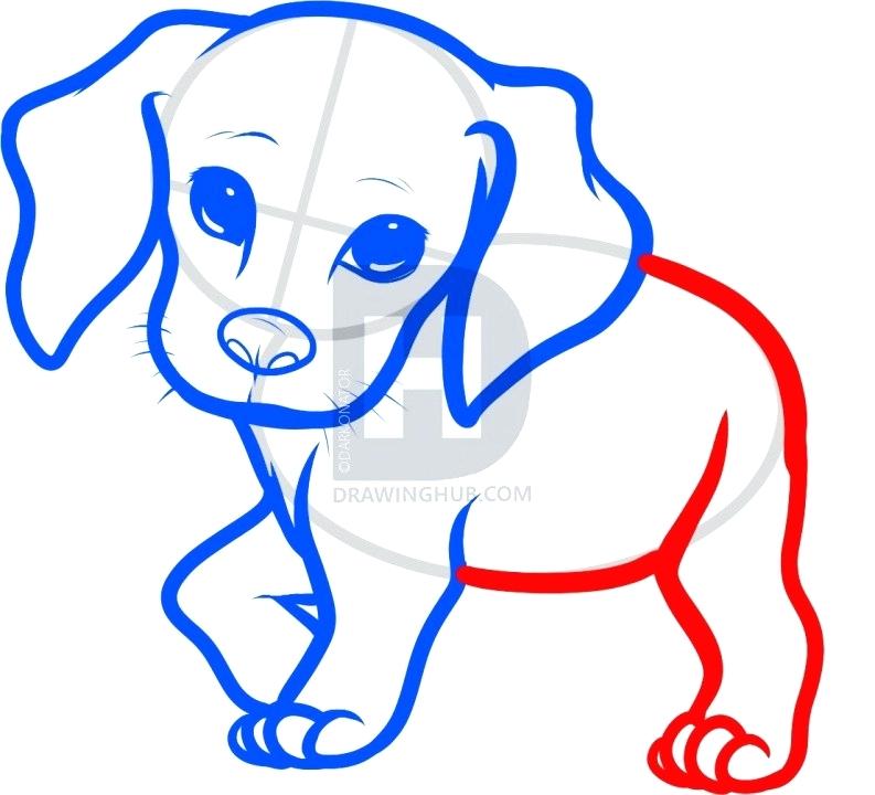 793x720 Puppy Face Drawing How To Draw A Puppy Face Easy Step