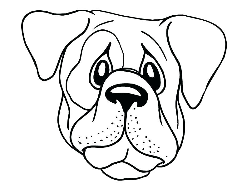 791x588 Puppy Face Drawing Sad Puppy Face Drawing How To Draw A Quick Dog
