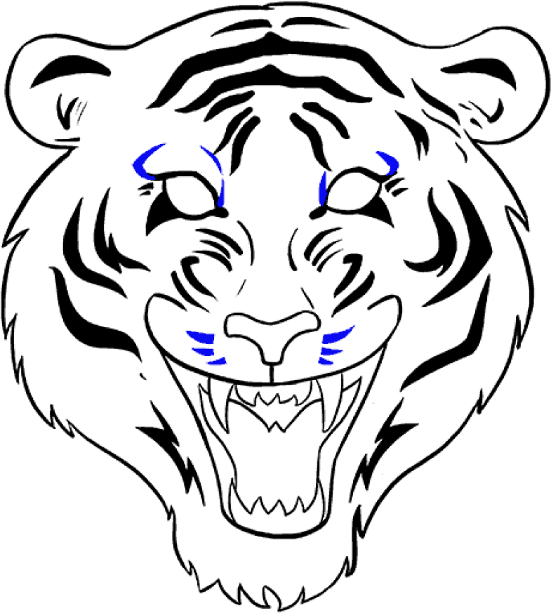 785x873 How To Draw Tiger Face