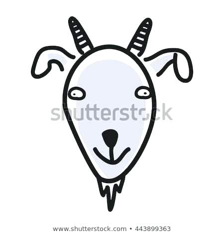 450x470 Goat Face Drawing Goat Face Drawing Images