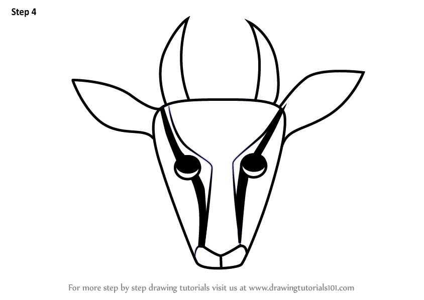 844x598 Learn How To Draw A Gazelle Face For Kids