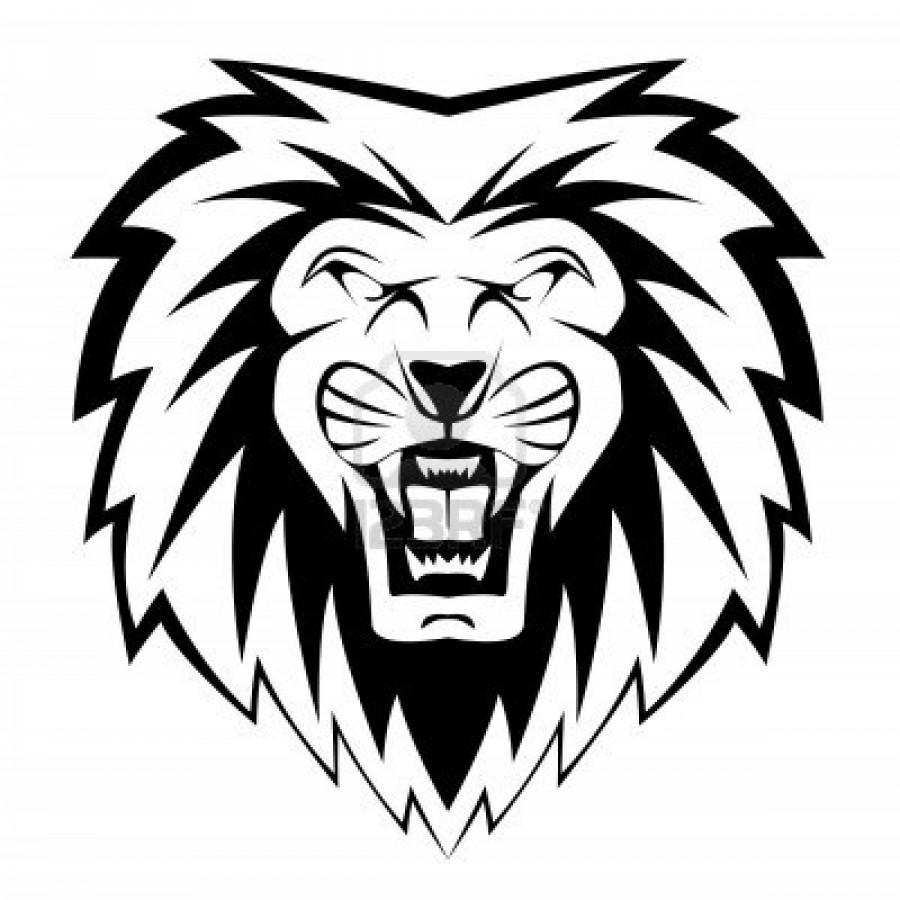 900x900 Lion Face Drawing Clipart