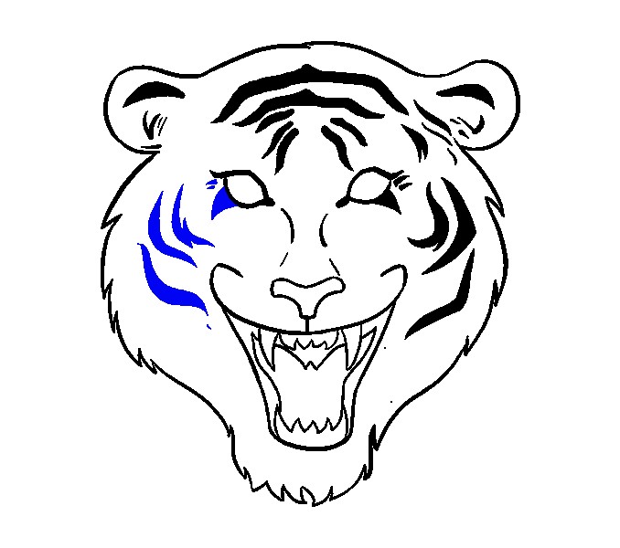 678x600 Tiger Face Drawing