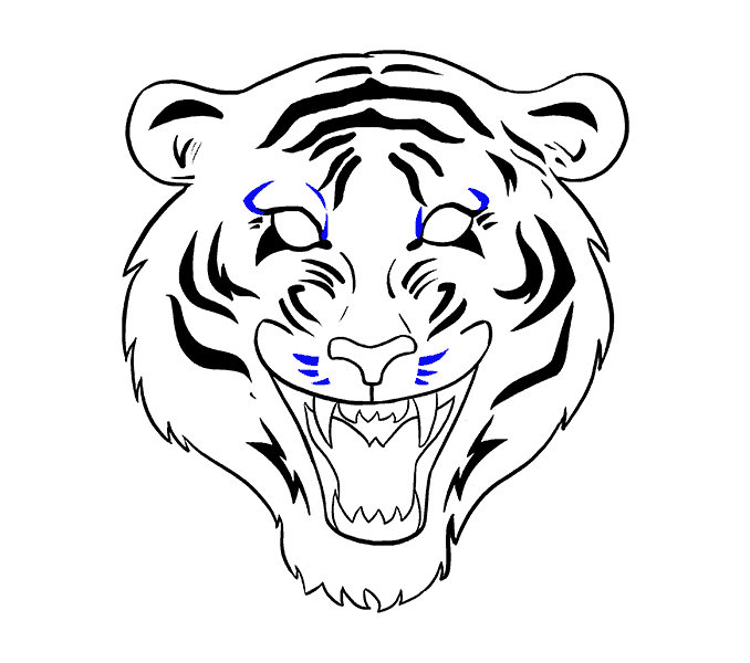678x600 Tiger Face Drawing How To Draw A In Few Easy Steps Guides