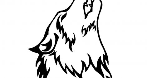 471x250 Wolf Face Drawing Tutorial Tumblr Line Step