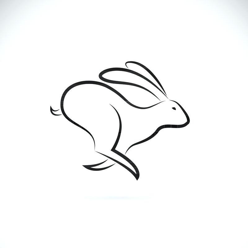 800x800 Easy Drawing Of A Bunny A Draw Bunny Easy Easy Way To Draw Bunny