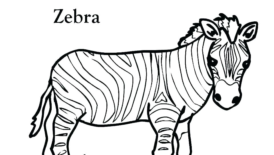 960x544 Easy Drawings Of Zebras Download Draw Easy Zebra Face Hoteles