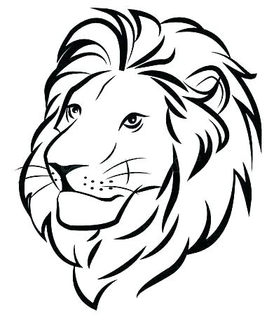 391x450 Lion Outline Drawing Lion Drawing Outline Tiger Or Lion Head