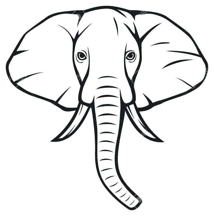 736x743 Outline Image Of Elephant Google Search Big Outline Image