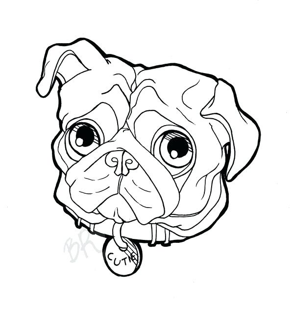 600x640 Dog Face Outline Drawing A Dog Face Story For Beginners Outline