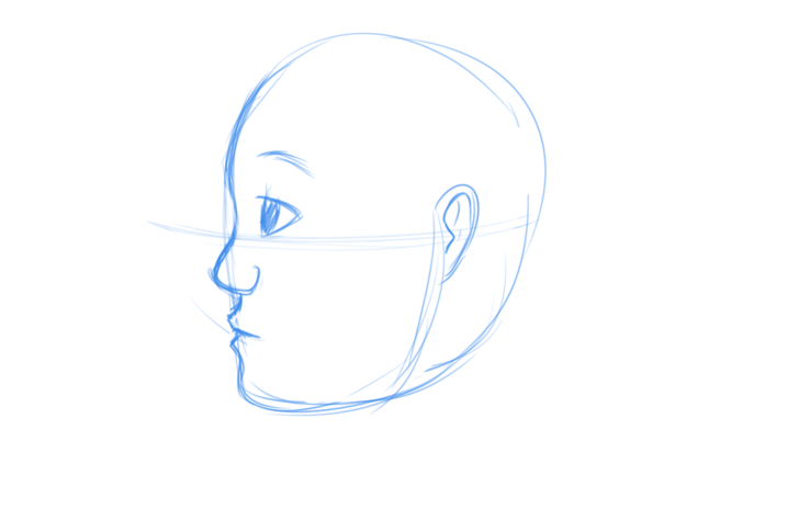 Face Profile Drawing
