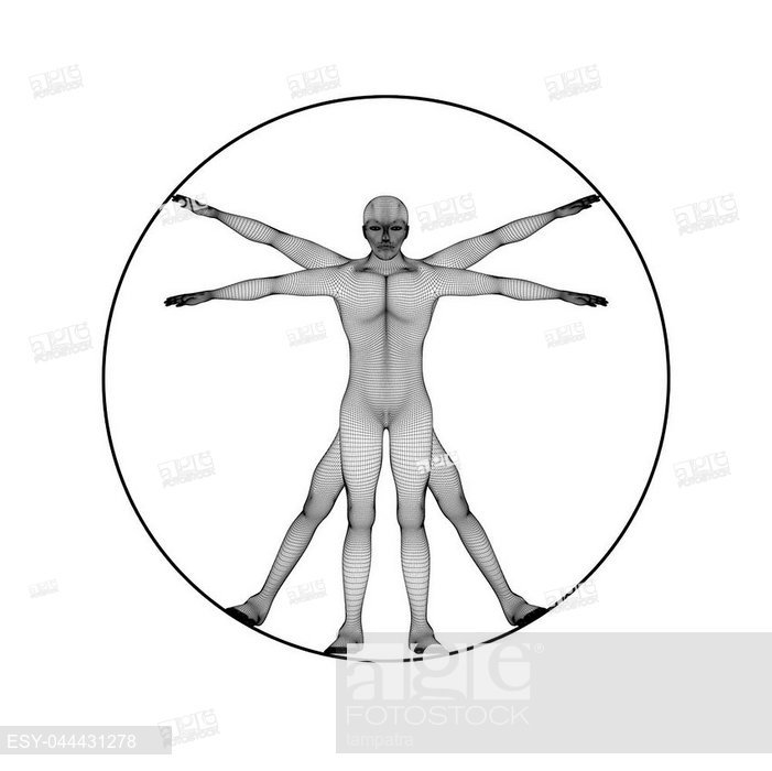 701x700 proportions face leonardo da vinci stock photos and images age