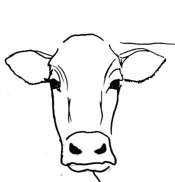 350x363 Cow Face Drawing