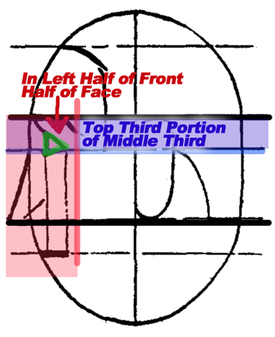400x490 Drawing Faces Head In Eyes, Nose, Mouth, Ears Brows