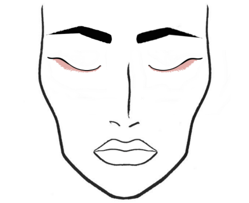 490x400 Blog Archive Face Charts
