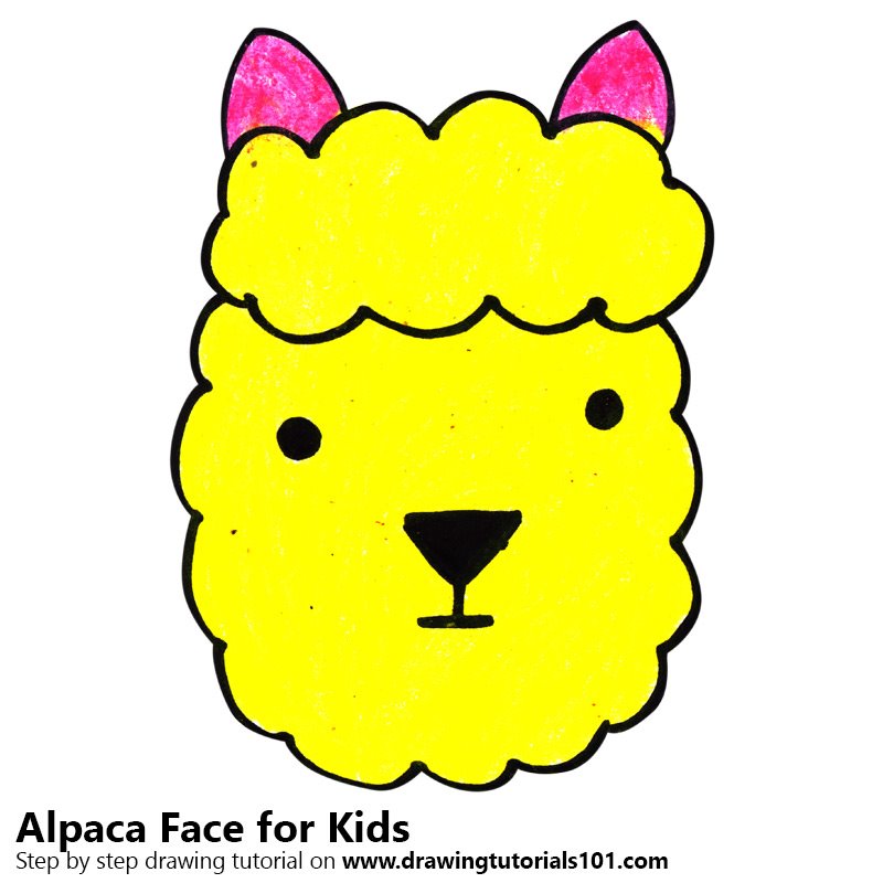 800x800 Learn How To Draw An Alpaca Face For Kids