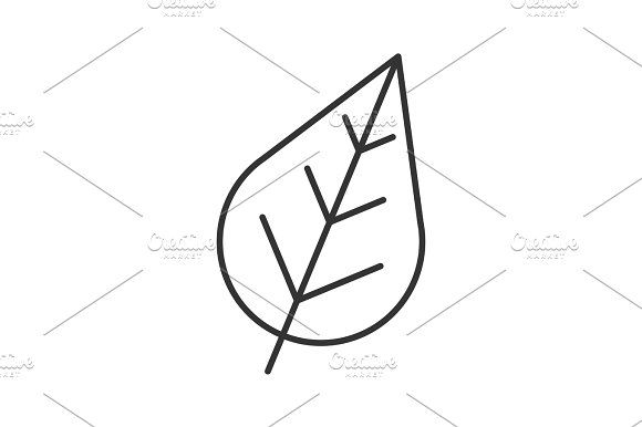 580x386 Leaf Linear Icon