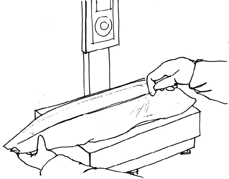 765x596 A Frozen Fillet From The Salmon Factory Download Scientific Diagram