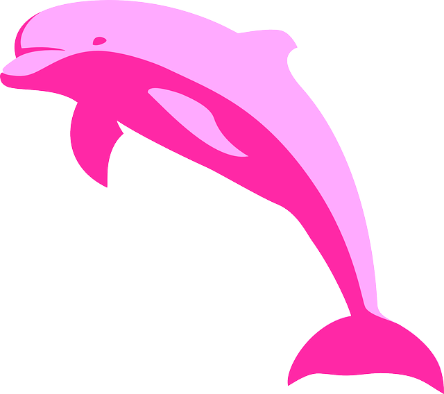 640x568 Rotate Resize Tool Dolphin Drawing Pink