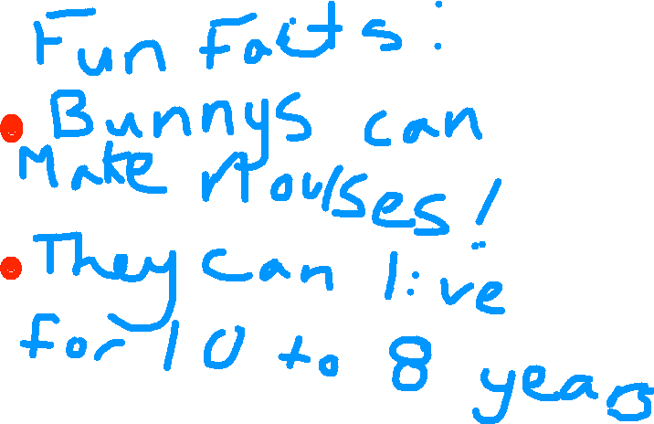 716x464 Fun Facts About Bunnys Tynker