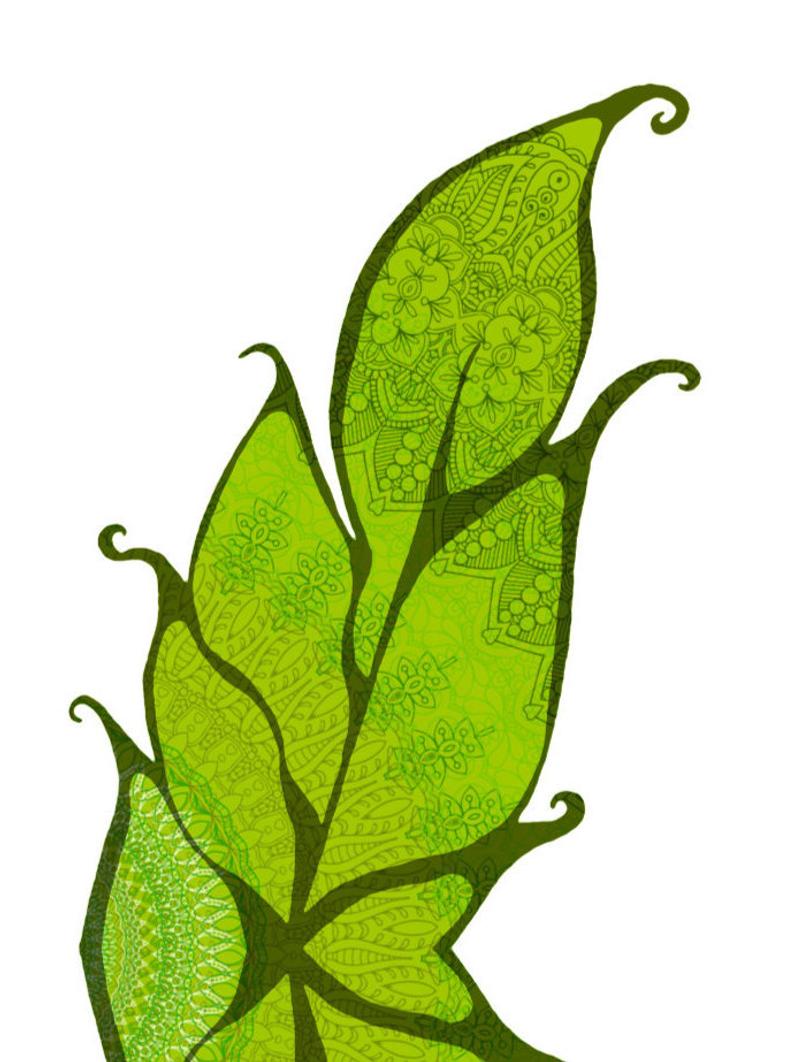 794x1062 tree faerie illustration fairy wings boho chic drawing etsy