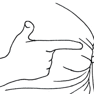 300x300 Drawing Sageborough Fair